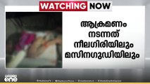 തമിഴ്നാട്ടിൽ കാട്ടാനായാക്രമണം; രണ്ട് പേർ കൊല്ലപ്പെട്ടു