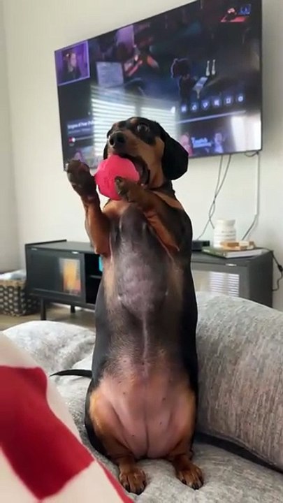 Quand on vous demande de rester tard, gardez votre pizza.