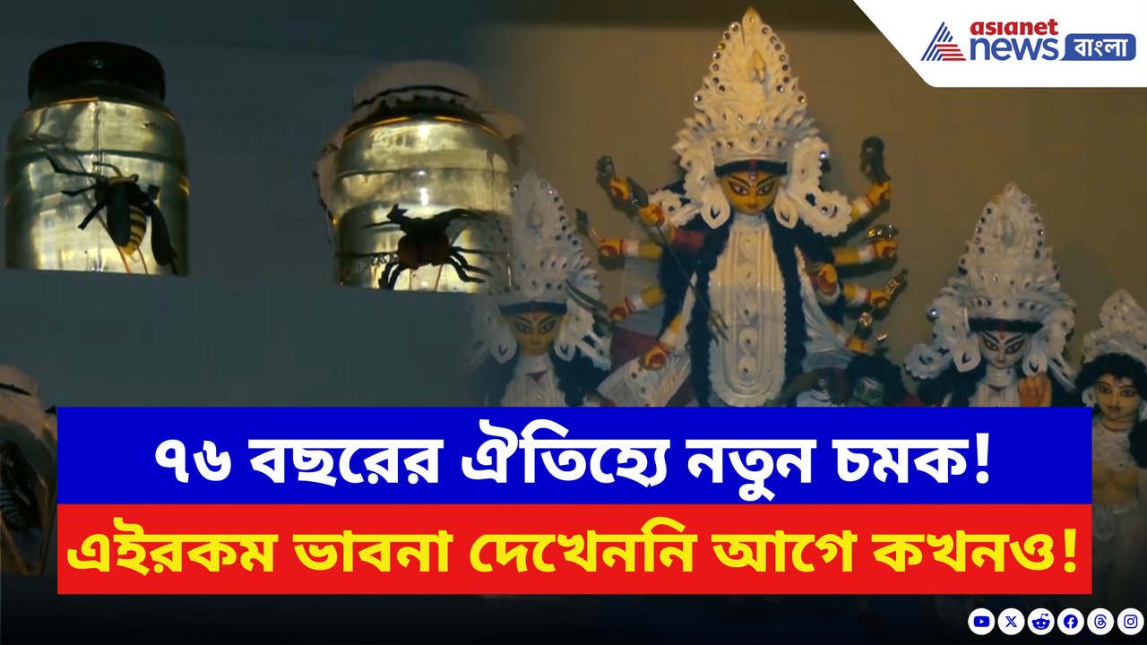 ৭৬ বছরের ঐতিহ্য! বোসপুকুর শীতলা মন্দিরের দুর্গাপুজোয় এবার চমকপ্রদ থিম