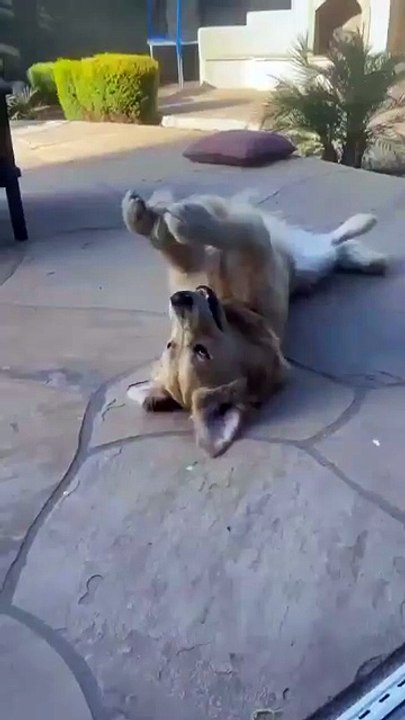 Oups… c’était inattendu, mais c’est drôle!