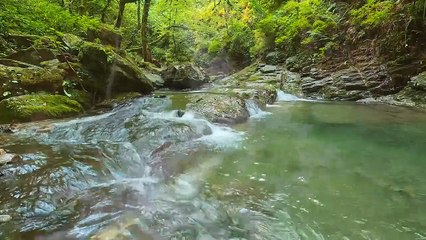 Fences as Beautiful as the Foothills of East Tennessee
