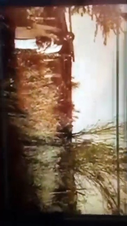 Video 3