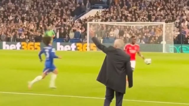 Chelsea vs Benfica (1-0) Extended highlights and goals - champions League 2025