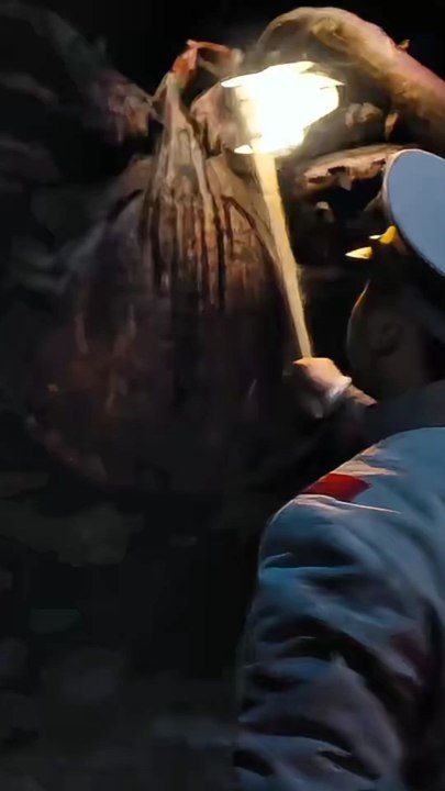 creature with fight
