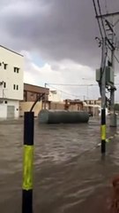 شاهد ما الذي تجوّل بأحد شوارع البدائع وأفزع المواطنين.. فيديو