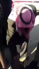 بالفيديو: نبات الفقع يظهر في عرعر وهذا ثمنه