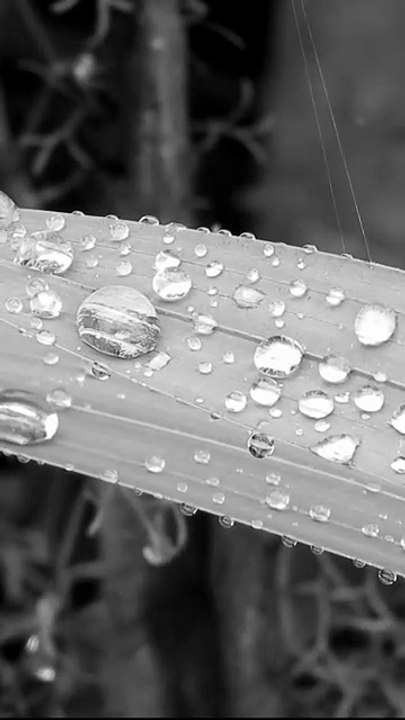Relaxing Water Flow
