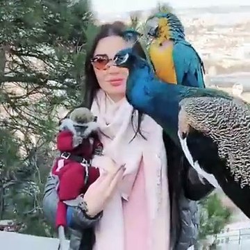 بالفيديو.. الخوف يسيطر على سيرين عبد النور