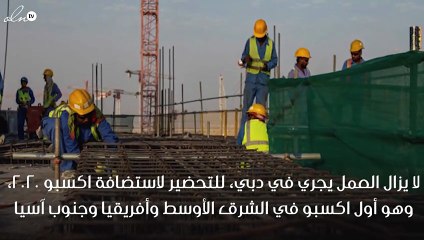 العمل وفق الخطة الزمنية في اكسبو 2020