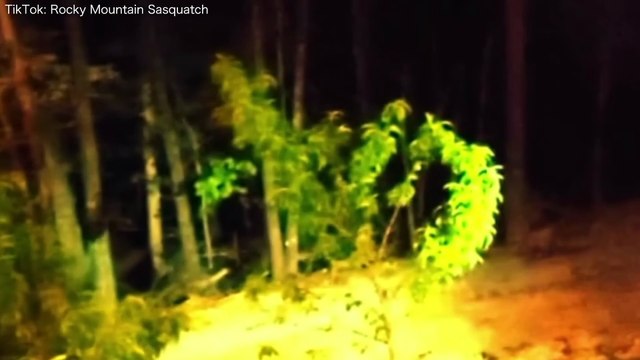30 Terrifying Trail Encounters Caught in the Woods
