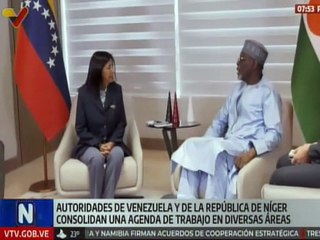 Vicepresidenta Rodríguez sostuvo encuentro de trabajo con el canciller de la República de Níger