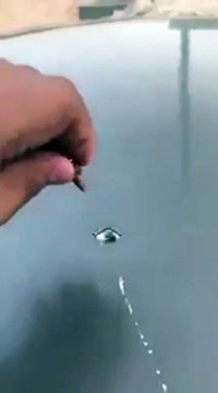 عرس كاد يتسبّب في كارثة بسبب الأسلحة النارية بالرياض
