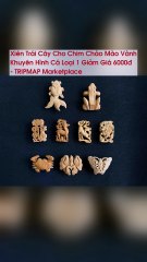 Xiên Trái Cây Cho Chim Chào Mào Vành Khuyên Hình Cá Loại 1 Giảm Giá 6000đ - TRIPMAP Marketplace