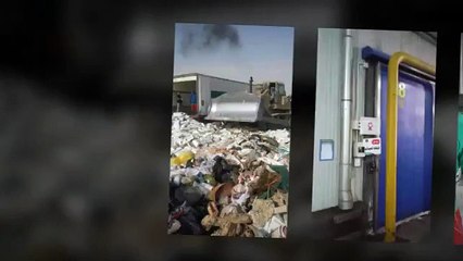 بالصور: ضبط واتلاف 87 طن روبيان وأسماك بالشرقية قبل توزيعها