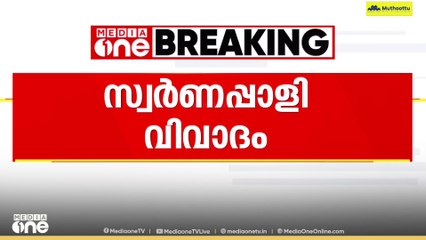 സ്വർണപ്പാളി വിവാ​ദം; ഉണ്ണികൃഷ്ണൻ പോറ്റിയുടെ ഇടപെടൽ ദുരൂഹമെന്ന് മന്ത്രി വി.എൻ വാസവൻ