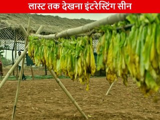 South Movie 2025 | South Movie Action Scene | Viral Movie Clip 💥 (Part 6)