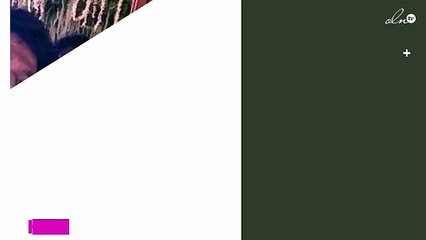 دينا الشربيني وعمرو دياب في حفل زفاف محمد إمام