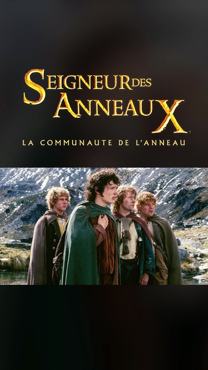 Le Seigneur des anneaux : La Communauté de l'anneau - Mon analyse