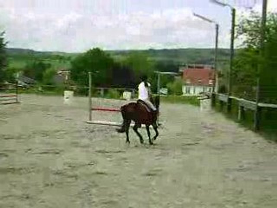 Olympia et Elsa , concour interne du 18.05.08