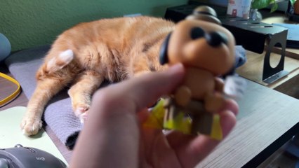 Prueba de enfoque iPhone 17 Pro Max