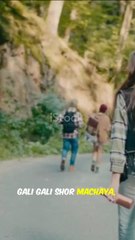 Entertainment mehar azmat Naeem butt