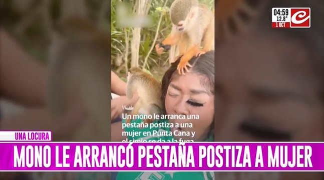 Video muestra el momento en el que un mono... ¡le arranca la pestaña postiza a una turista!
