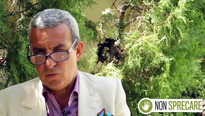 Preparare bene il tè: il metodo per la bollitura e i tempi di infusione