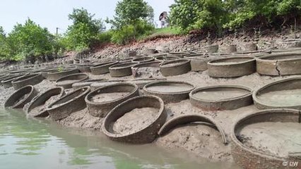Sundarbans: Terracotta rings offer hope against rising seas