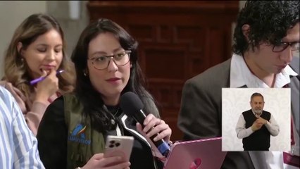 Sheinbaum: "México ayudó a la madre de la segunda persona asesinada en el tiroteo del ICE a viajar a EE. UU."