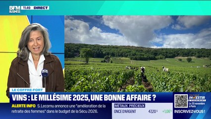 Le coffre-fort : Vins, le millésime 2025... une bonne affaire ? - 01/10