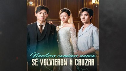 Nuestros caminos nunca se volvieron a cruzar en Español