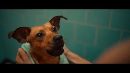 Caramelo Trailer 🎥