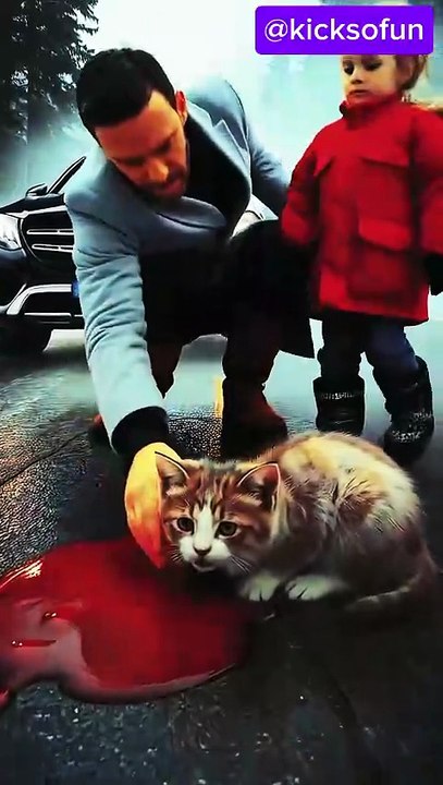 Ai cat injury 🤕