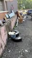 MÂCON : Dépôt de déchets sauvages à La Chanaye-Résidence