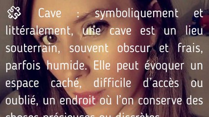 Disparition de Delphine Jubillar : Pistes et Observations Complémentaires • Bruno Moulin-Groleau