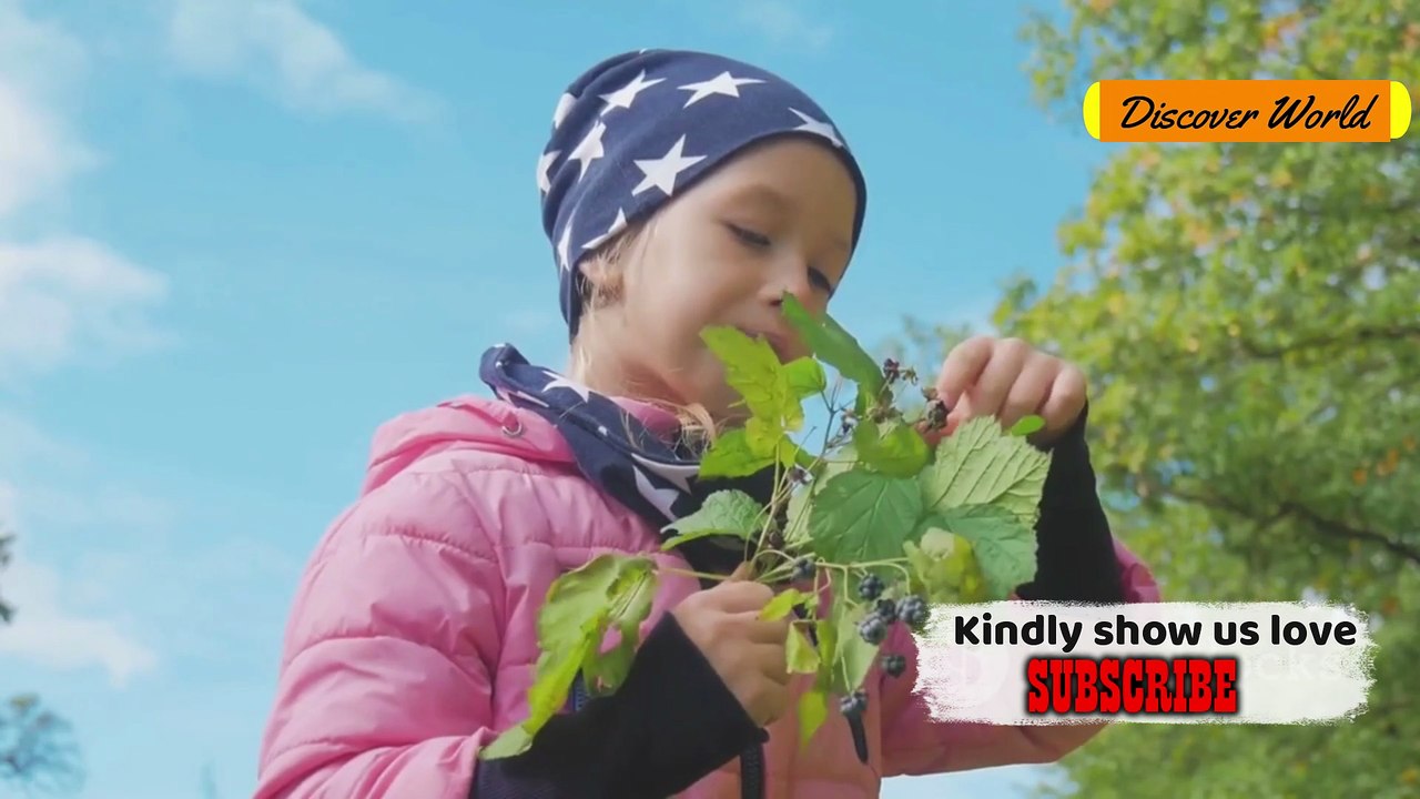 Food Security Crisis Which Country Is Facing the Worst Hunger & What They’re Doing About It