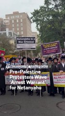 Pro-Palestine Protesters Wave ‘Arrest Warrant’ for Netanyahu