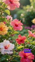 One Cup of This Tea Lowers Blood Pressure Naturally