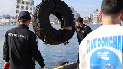 속초 청초호서 민관 정화 활동...폐기물 4.5t 수거 / YTN