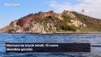 Marmara'da büyük tehdit: 10 metre derinlikte görüldü