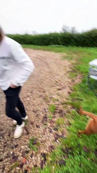 Il se crée plein de rangement caché 🤤