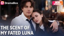 The Scent Of My Fated Luna Full Movie _ Dramabox