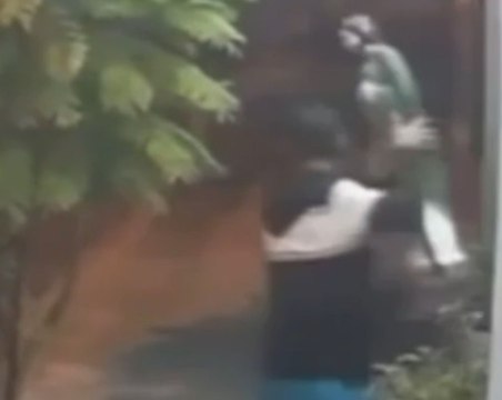 VIDEO | Roban estatua de San Judas Tadeo en Ciénega de Flores
