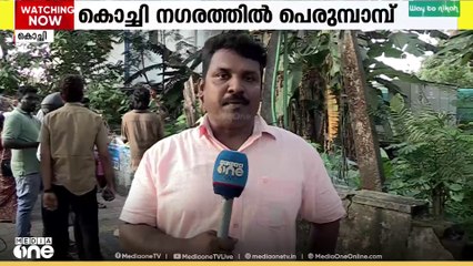 എറണാകുളം നഗരമധ്യത്തില്‍  മരക്കൊമ്പില്‍ കയറിക്കൂടിയ പെരുമ്പാമ്പിനെ ഇതുവരെ പിടികൂടാനായില്ല...