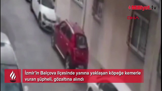 İzmir'de dehşete düşüren olay! Kemerini çıkartıp köpeğe defalarca vurduv