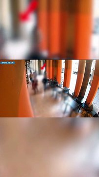 Bologna, allarme sicurezza: nuova ondata di rapine e scippi in centro, 8 misure cautelari eseguite