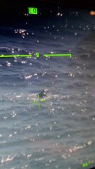 Rescatado con vida en alta mar un hombre que desapareció el lunes en su moto acuática