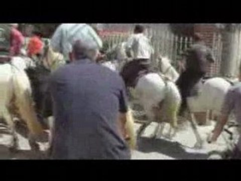 Abrivado / Bandido Marsillargues 19 mai 08