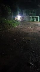 ¿El cadejo? Hondureño graba a misteriosa criatura en Reitoca