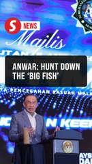 Go all out, even against the biggest of fishes, Anwar hails MACC